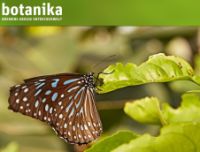 Schmetterlingsfoto von der botanika-Website