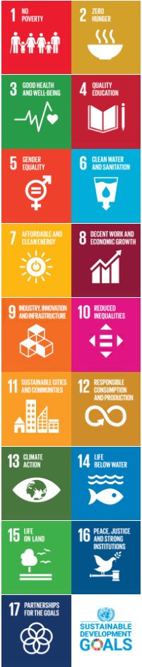 17 Icons Development Goals