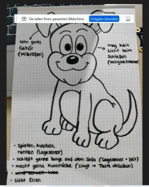 Skizze auf Papier mit Hund und ein paar Eigenschaften